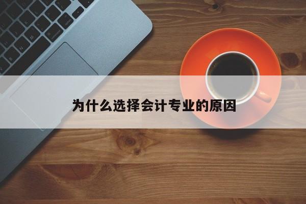 為什么選擇會計專業(yè)的原因