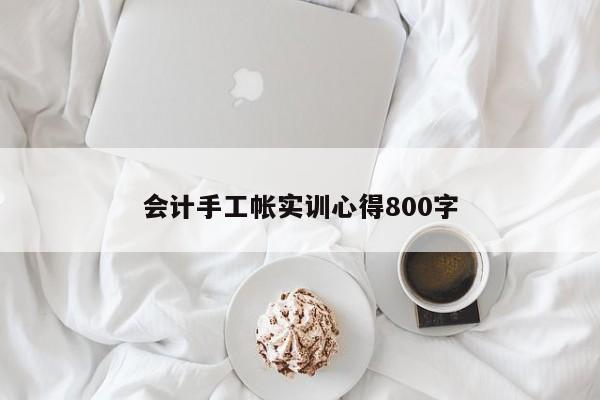 會計手工帳實訓心得800字