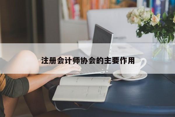 注冊(cè)會(huì)計(jì)師協(xié)會(huì)的主要作用