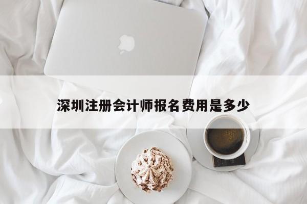 深圳注冊會計師報名費用是多少