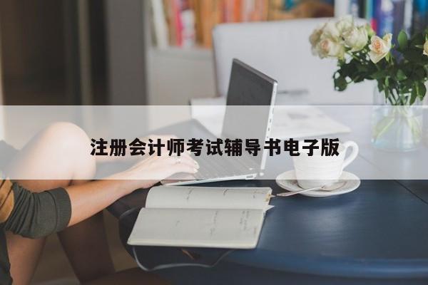 注冊(cè)會(huì)計(jì)師考試輔導(dǎo)書電子版