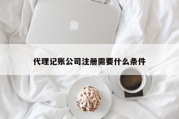 代理記賬公司注冊需要什么條件