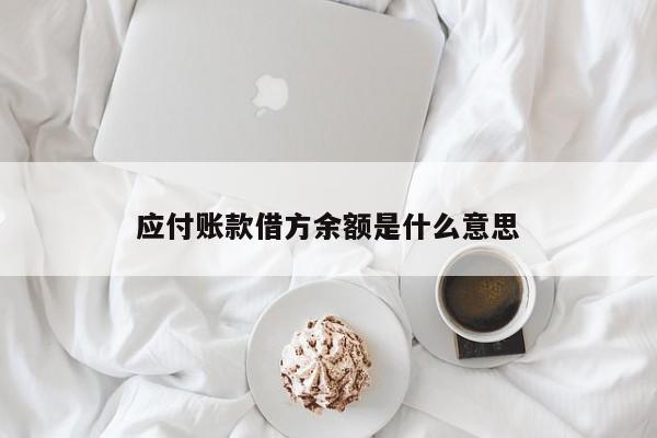 應(yīng)付賬款借方余額是什么意思