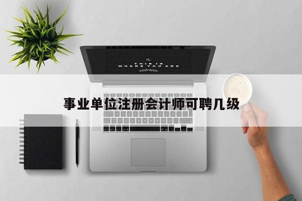 事業(yè)單位注冊(cè)會(huì)計(jì)師可聘幾級(jí)