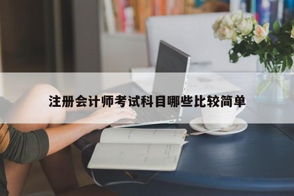 注冊(cè)會(huì)計(jì)師考試科目哪些比較簡單