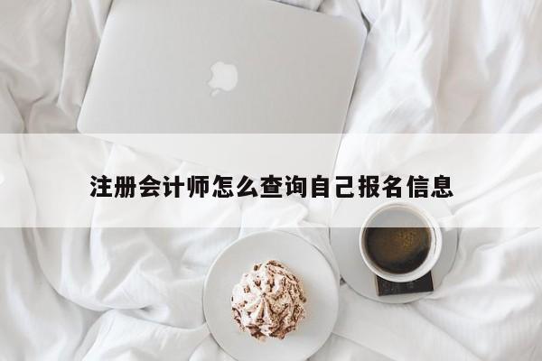 注冊(cè)會(huì)計(jì)師怎么查詢自己報(bào)名信息