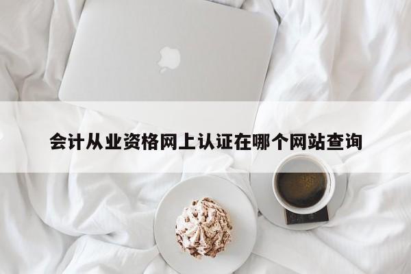 會計從業(yè)資格網(wǎng)上認證在哪個網(wǎng)站查詢